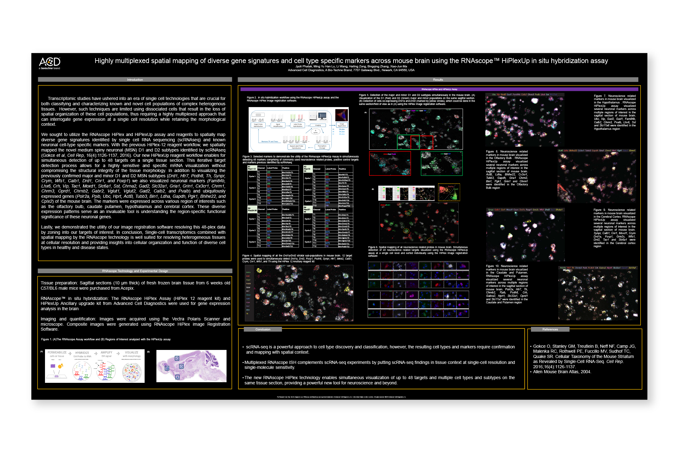 Highly multiplexed spatial mapping of diverse gene signatures and cell type specific markers across mouse brain using the RNAscope™ HiPlexUp in situ hybridization assay